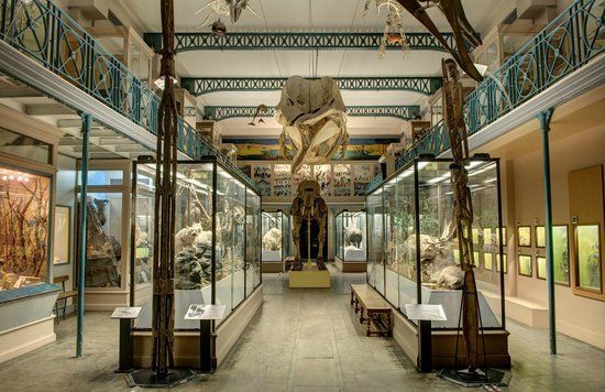 Naturkundemuseum Lille
